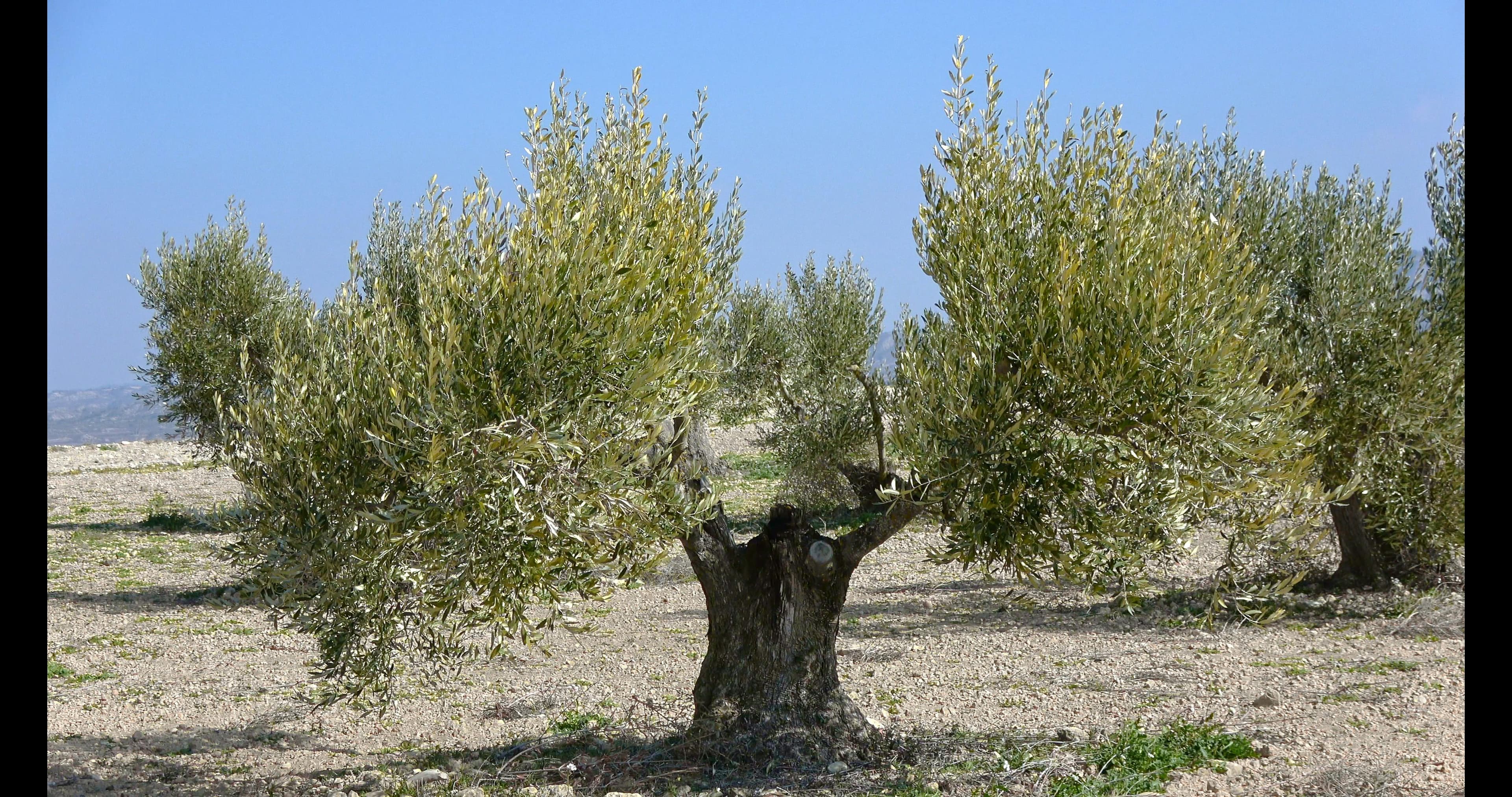 Rest Areas - Image 10