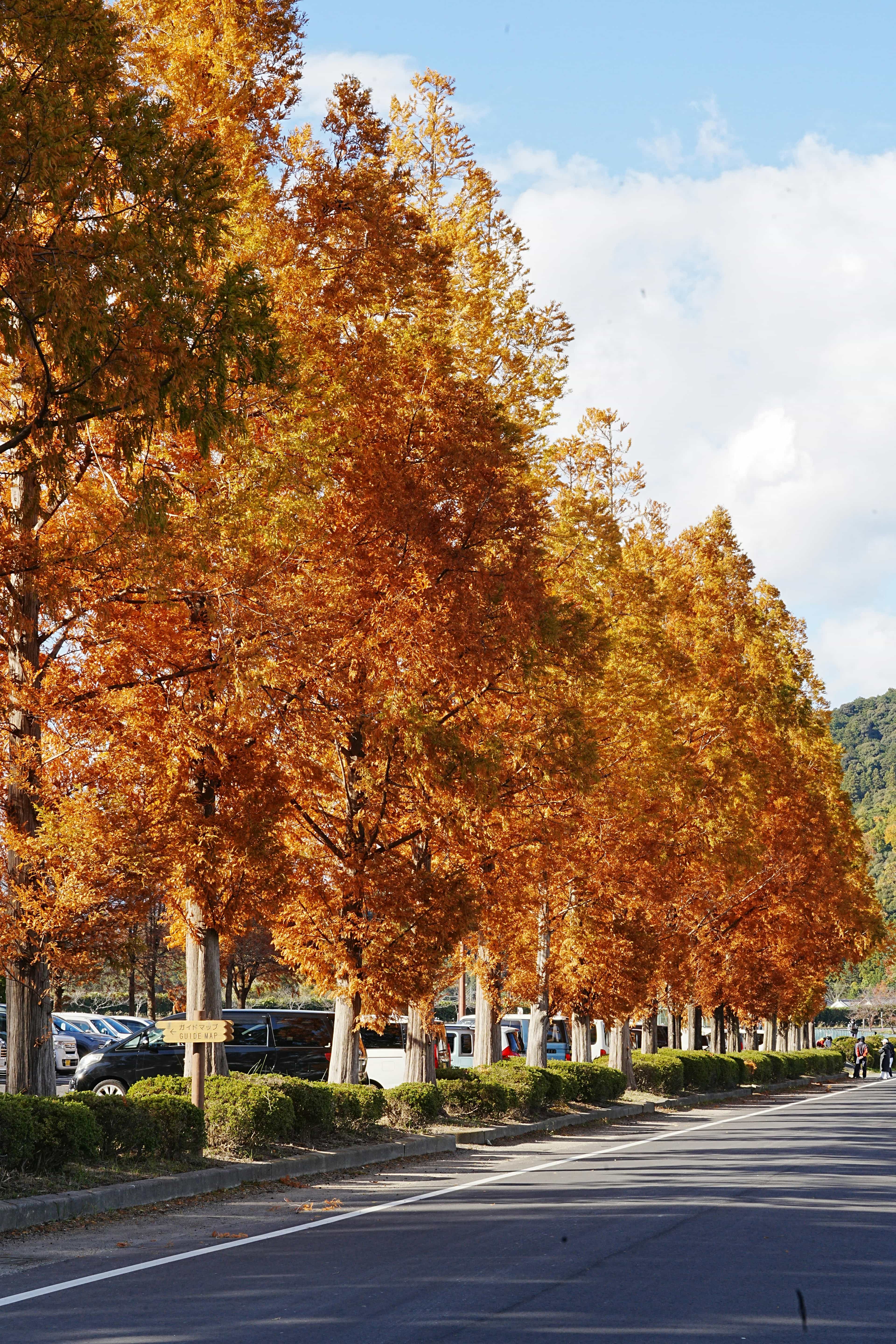 Rest Areas - Image 7